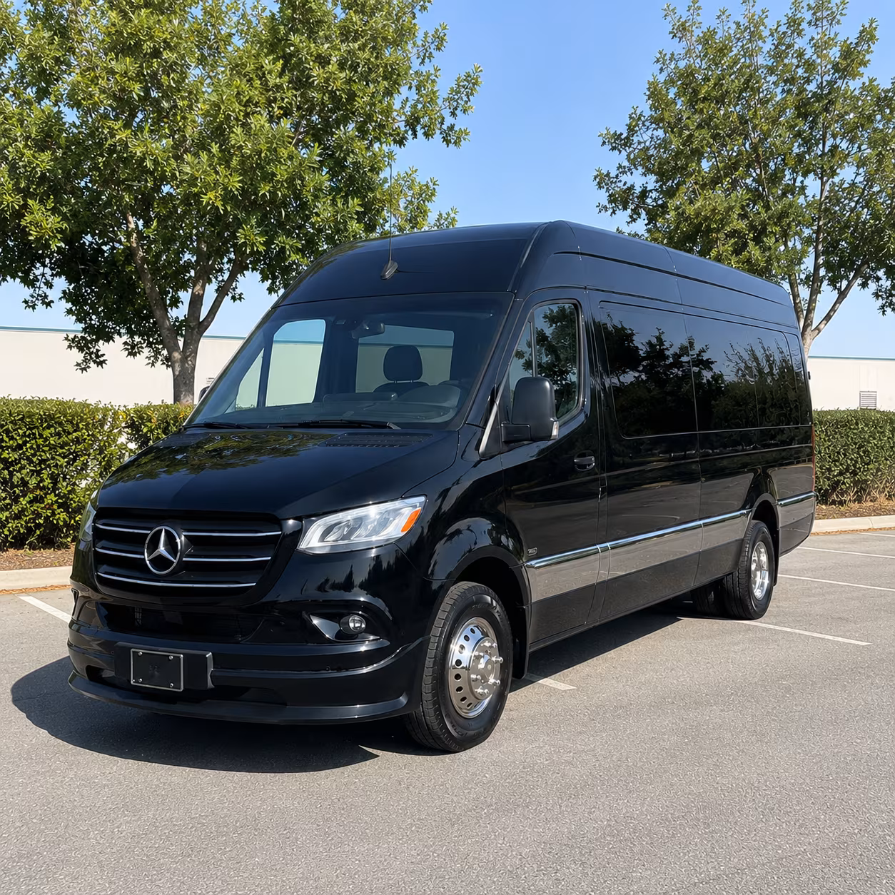 find the perfect transportation for your next birthday 5